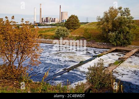 Emscher-Mündung im Rhein, Kraftwerk Voerde im Hintergrund, Deutschland, Nordrhein-Westfalen, Ruhrgebiet, Dinslaken Stockfoto