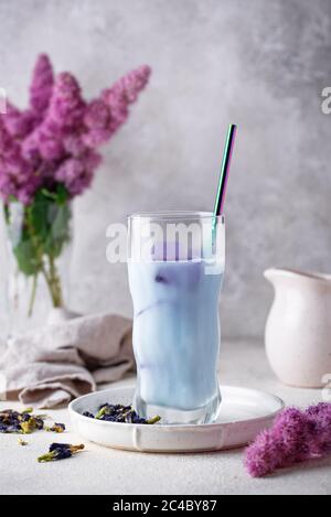 Schmetterling Erbsenblau Tee mit Milch Stockfoto