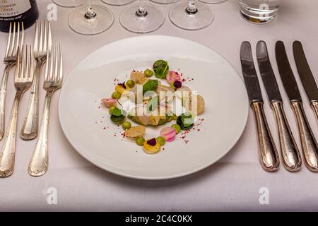 Ein Vorspeisen mit dünn geschnittenen hellen Scheiben, Erbsen, Rettichscheiben, Kräuterblättern, knusprigen Krümelrondellen und roten Gewürzpunkten liegt auf einem weißen Teller im Hotel und Restaurant Kronenschlösschen in Hattenheim, Eltville am Rhein, Hessen, Deutschland. Im Hintergrund steht der begleitende trockene Hochheim Hölle Riesling 2013, Grosses Gewächs (grand cru), aus der Rheingau-Weinkellerei Künstler. Der Gang ist Teil des Galadinners des Zwei-Sterne-Kochs Erik van Loo (Restaurant Parkheuvel, Rotterdam) am 24. Februar 2017. Der Anlass ist das 21. Rheingau Gourmet & Wein Festival. Stockfoto