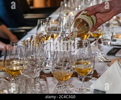 Der alkoholfreie PriSecco ist seit langem sozial akzeptabel und eine lohnende Alternative zu Wein und Sekt. Rheingau Gourmet Festival in Hattenheim, Eltville am Rhein, Deutschland Stockfoto