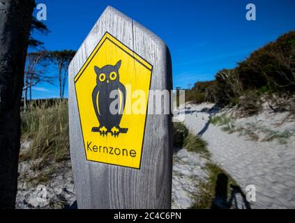 Prerow, Deutschland. Juni 2020. Das Schild, das den Beginn der Kernzone des Nationalparks anzeigt, befindet sich an einem der Strandeingänge zum Weststrand auf der Ostseeinsel Fischland-Darß-Zingst. Der Weststrand liegt im Nationalpark Vorpommersche Boddenlandschaft. Der Naturstrand ist nur zu Fuß, mit dem Fahrrad oder mit der Pferdekutsche auf Waldwegen erreichbar. Quelle: Jens Büttner/dpa-Zentralbild/dpa/Alamy Live News Stockfoto
