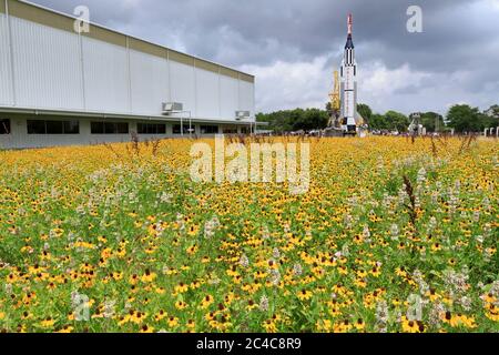 Wildblumen im Rocket Park, Space Center, Houston, Texas, USA Stockfoto