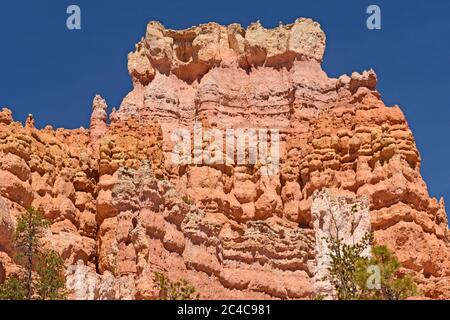 Bunte Felsen in den Bergen in Bryce Canyon National Park in Utah Stockfoto