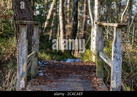 Das traumhafte Naturschutzzentrum Wilhelmsdorf mit einer faszinierenden Flora und Fauna Stockfoto