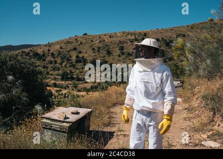 Imker arbeiten, um Honig zu sammeln. Bio-Imkerei Konzept. Stockfoto