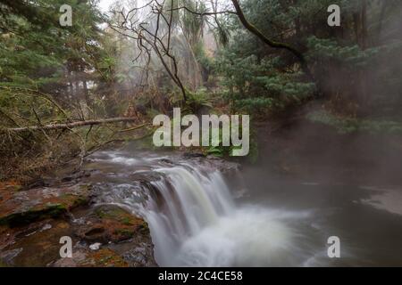 Thermalwasserfall auf Kerosin Creek, Rotorua, Neuseeland. Ungewöhnliche Naturlandschaften Stockfoto