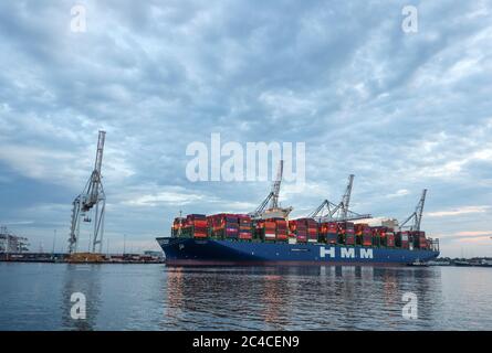 Southampton, Hampshire, Großbritannien. Juni 2020. Das größte Schiff, das jemals Southampton Docks besucht hat, kommt in den frühen Morgenstunden bei DP World Southampton an. Das Containerschiff HMM Oslo ist eines der größten Schiffe der Welt. Das Schiff ist länger als der Shard in London ist, misst 399.9 Meter in der Länge. Das massive Schiff ist 61.5 Meter breit und hat die Kapazität, 23,820 zwanzig Fuß Container-Einheiten zu halten. Das Schiff wird am Samstag, den 27. Juni, vom Hafen abfahren und britische Exporte nach Südkorea über Frankreich, Deutschland, die Niederlande und Singapur transportieren. Kreditstuar Stockfoto