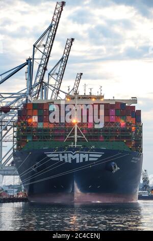 Southampton, Hampshire, Großbritannien. Juni 2020. Das größte Schiff, das jemals Southampton Docks besucht hat, kommt in den frühen Morgenstunden bei DP World Southampton an. Das Containerschiff HMM Oslo ist eines der größten Schiffe der Welt. Das Schiff ist länger als der Shard in London ist, misst 399.9 Meter in der Länge. Das massive Schiff ist 61.5 Meter breit und hat die Kapazität, 23,820 zwanzig Fuß Container-Einheiten zu halten. Das Schiff wird am Samstag, den 27. Juni, vom Hafen abfahren und britische Exporte nach Südkorea über Frankreich, Deutschland, die Niederlande und Singapur transportieren. Kreditstuar Stockfoto