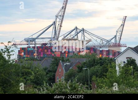 Southampton, Hampshire, Großbritannien. Juni 2020. Das größte Schiff, das jemals Southampton Docks besucht hat, kommt in den frühen Morgenstunden bei DP World Southampton an. Das Containerschiff HMM Oslo ist eines der größten Schiffe der Welt. Das Schiff ist länger als der Shard in London ist, misst 399.9 Meter in der Länge. Das massive Schiff ist 61.5 Meter breit und hat die Kapazität, 23,820 zwanzig Fuß Container-Einheiten zu halten. Das Schiff wird am Samstag, den 27. Juni, vom Hafen abfahren und britische Exporte nach Südkorea über Frankreich, Deutschland, die Niederlande und Singapur transportieren. Kreditstuar Stockfoto