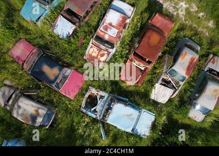 Alte und rostige Autos wurden von der Natur reklamiert. Stockfoto