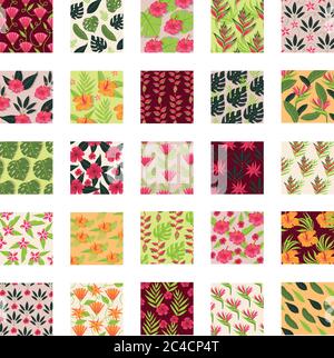 Blätter und Pflanzen tropische Muster Hintergründe Vektor Illustration Design Stock Vektor