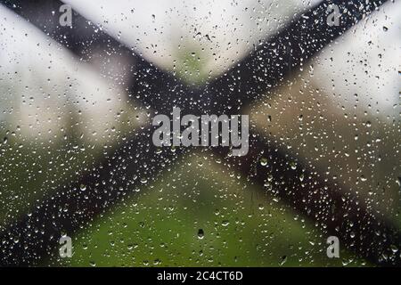 Viele Tropfen Wasser auf das Glas. Fensterglas mit Regentropfen. Stockfoto