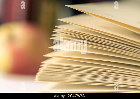 Geöffnetes Buch. Blätter eines geöffneten Buches Nahaufnahme. Stockfoto