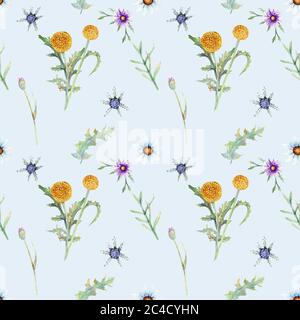 Wilde Blumen Hintergrund. Nahtloses Muster. Wilde Blumen Hintergrund Aquarell. Stockfoto