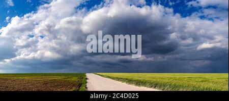 Stürmische regnerische dunkle Wolken und Feldweg durch landwirtschaftliche Felder Stockfoto