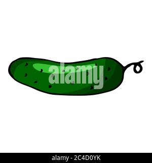 Grüne Gurke. Handgezeichnetes Symbol für den Umriss des Doodles. Bunt isoliert auf weißem Hintergrund. Vektorgrafik für Grußkarten, Poster, Patches, drucken Stock Vektor