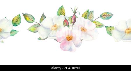 Die Blumen und Blätter der wilden Rose. Wiederholung der Sommer horizontalen Grenze. Aquarellillustration mit Blumenmuster. Kompositionen für Grußkarten oder Stockfoto