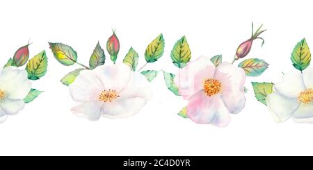 Die Blumen und Blätter der wilden Rose. Wiederholung der Sommer horizontalen Grenze. Aquarellillustration mit Blumenmuster. Kompositionen für Grußkarten oder Stockfoto
