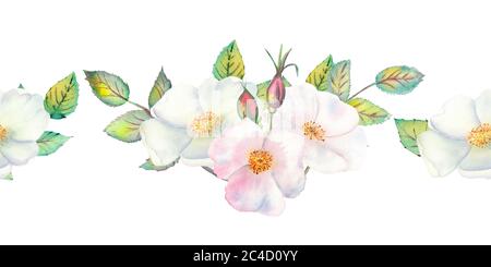 Die Blumen und Blätter der wilden Rose. Wiederholung der Sommer horizontalen Grenze. Aquarellillustration mit Blumenmuster. Kompositionen für Grußkarten oder Stockfoto