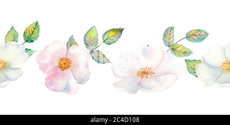 Die Blumen und Blätter der wilden Rose. Wiederholung der Sommer horizontalen Grenze. Aquarellillustration mit Blumenmuster. Kompositionen für Grußkarten oder Stockfoto