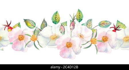 Die Blumen und Blätter der wilden Rose. Wiederholung der Sommer horizontalen Grenze. Aquarellillustration mit Blumenmuster. Kompositionen für Grußkarten oder Stockfoto