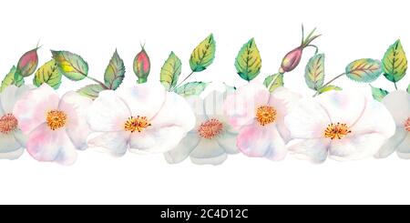 Die Blumen und Blätter der wilden Rose. Wiederholung der Sommer horizontalen Grenze. Aquarellillustration mit Blumenmuster. Kompositionen für Grußkarten oder Stockfoto