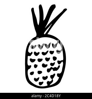 Ananas. Handgezeichnetes Symbol für den Umriss des Doodles. Transparent isoliert auf weißem Hintergrund. Vektorgrafik für Grußkarten, Poster, Patches, Drucke Stock Vektor