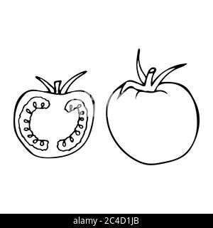 Tomate mit Stiel und Blatt. Handgezeichnetes Symbol für den Umriss des Doodles. Transparent isoliert auf weißem Hintergrund. Vektorgrafik für Grußkarten, Poster Stock Vektor