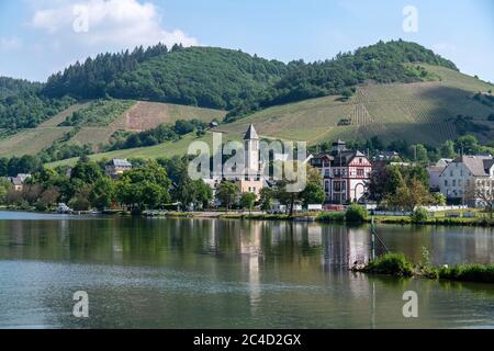Der Weinort Neef an der Mosel, Cochem-Zell, Rheinland-Pfalz, Deutschland Stockfoto