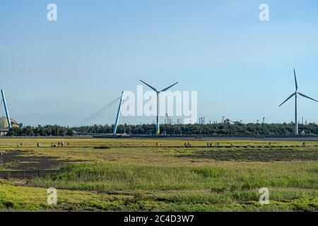 Gaomei Wetlands Touristenpfad, ein beliebter landschaftlich schöner Ort im Qingshui Bezirk. Taichung City, Taiwan Stockfoto