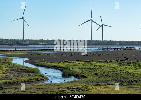 Gaomei Wetlands Touristenpfad, ein beliebter landschaftlich schöner Ort im Qingshui Bezirk. Taichung City, Taiwan Stockfoto