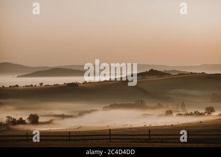 Neblige Herbstlandschaft mit der Herde von Kühen auf der Weide im Tal mit dem Zaun im Vordergrund und mit Hügeln im Hintergrund grasen Stockfoto