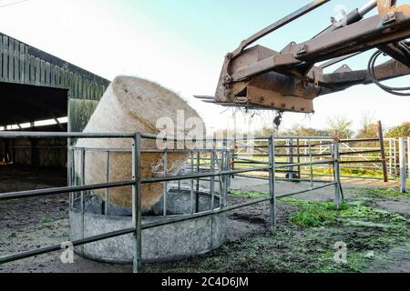 Verschwommene Ansicht eines großen Heuballen gesehen bringen von einem Traktor der Landmaschine Hebezeug fallen. Stockfoto