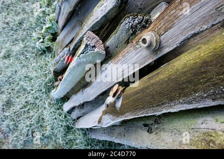 Gestapelte landwirtschaftliche hölzerne Zaunpfosten an einem Wintermorgen auf einer Farm gesehen. Einige der Zaunpfosten werden für ein Fahrerlager verwendet. Stockfoto