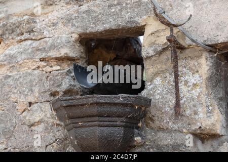 Schmiedeeiserner Abfluss an einer alten Steinmauer gesehen. Gesehen, wie man aus einem Loch herauskommt, ist eine improvisierte schwarze Kunststoffrinne, die dazu verwendet wird, Wasser abzuleiten. Stockfoto