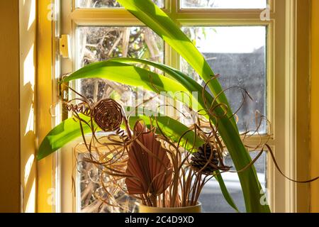 Sonniger Morgen in einem kleinen Fenster in einem ländlichen Häuschen gesehen. Zeigt getrocknete, verzierte Blüten und lange grüne Blätter einer Topfpflanze. Stockfoto