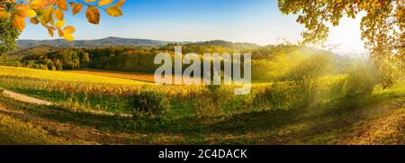 Panorama ländliche Landschaft im Herbst mit Weinbergen, Hügeln, lebendigen blauen Himmel und Sonnenstrahlen, von Gold Laub eingerahmt Stockfoto