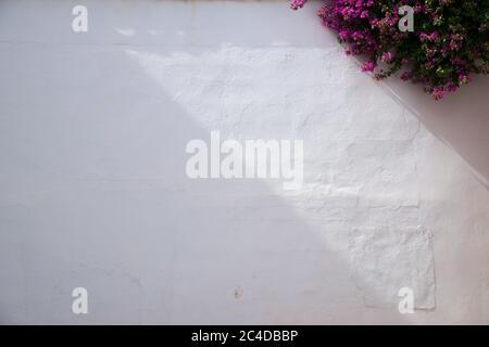 Alte Wanddetails in der Altstadt von Cordoba in Spanien. Stockfoto