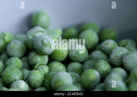 Top-down, flacher Fokus von frisch gepflückten Gartenerbsen, die nach der Ernte eingefroren wurden. Aus dem Gefrierschrank entfernt gesehen, bereit zum verpacken und verkaufen. Stockfoto