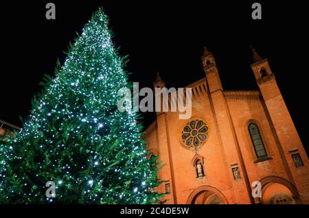 Piazza Risorgimento, Hauptplatz von Alba (Piemont, Italien) in der Nacht mit der Fassade der St. Lawrence Kathedrale und einem beleuchteten weihnachtsbaum Stockfoto