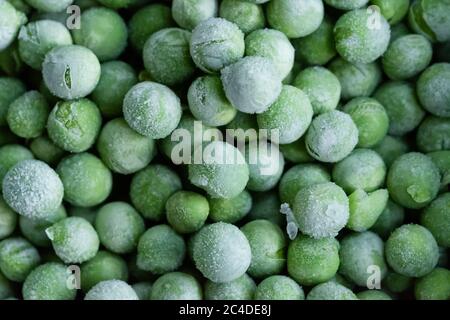 Top-down, flacher Fokus von frisch gepflückten Gartenerbsen, die nach der Ernte eingefroren wurden. Aus dem Gefrierschrank entfernt gesehen, bereit zum verpacken und verkaufen. Stockfoto