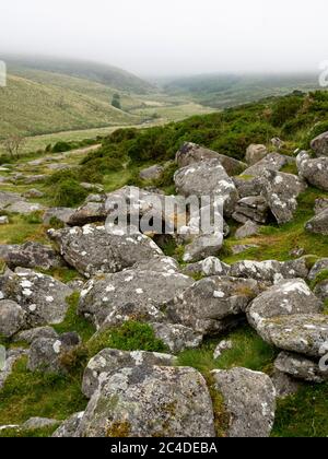 Granite Rocks, Dartmoor, Devon, Großbritannien Stockfoto