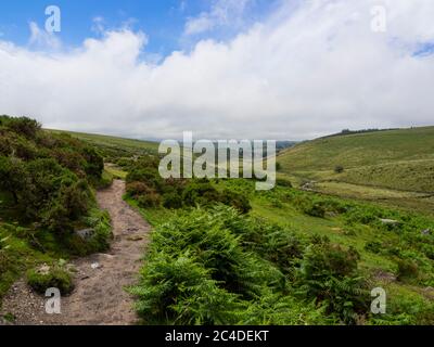 Fußweg von Wistman’s Wood zu Two Bridges, Dartmoor, Devon, Großbritannien Stockfoto