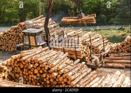 Holzverladung Holzernte Carmarthenshire Wales Stockfoto