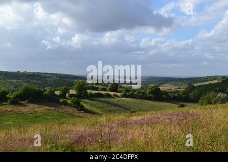 Wunderschönes trockenes Tal in Chalk Downs in der Nähe von Eynsford/Romney Street/Austin Lodge. Wildblumenwiesen und ruhige Wege, Insekten und Vogelgezwitscher. Typisch Kent. Stockfoto