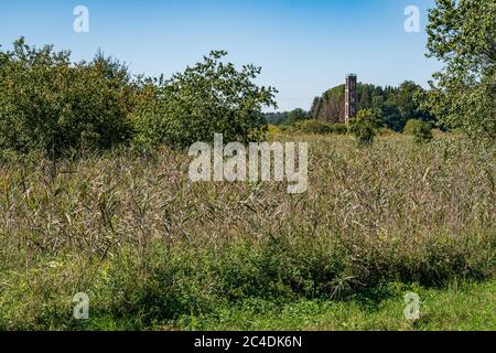 Fantastische Wanderung durch das Naturschutzgebiet Pfrunger-Burgweiler-Ried im Herbst Stockfoto