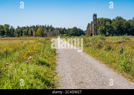 Fantastische Wanderung durch das Naturschutzgebiet Pfrunger-Burgweiler-Ried im Herbst Stockfoto