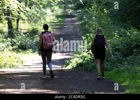 Limpsfield Chart,Surrey,26. Juni 2020,Leute genießen einen Waldspaziergang in Limpsfield Chart, Surrey. Nach heftigem Regen über Nacht fühlte sich der Wald sehr feucht an und die Wettervorhersage für heute ist sonnig mit 26C. Morgen werden Gewitter mit kühleren Temperaturen nächste Woche prognostiziert.Quelle: Keith Larby/Alamy Live News Stockfoto