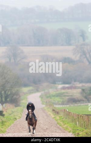 Ein Jockey trainiert ein Rennpferd auf dem Galopp in den Peter Bowen Stables in Pembrokeshire, Wales Stockfoto