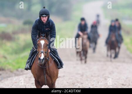Ein Jockey trainiert ein Rennpferd auf dem Galopp in den Peter Bowen Stables in Pembrokeshire, Wales Stockfoto
